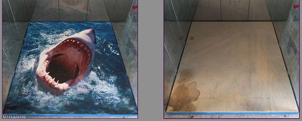 قبل و بعد از نصب کفپوش سه بعدی آسانسور